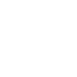 Icon linkedin